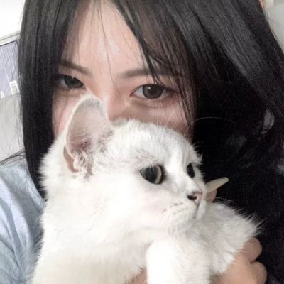 暗月领域手游下载