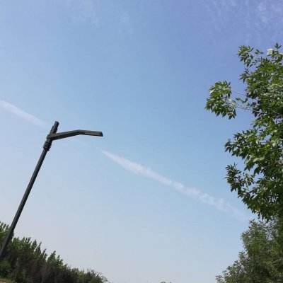 灵狐仙境官方版下载